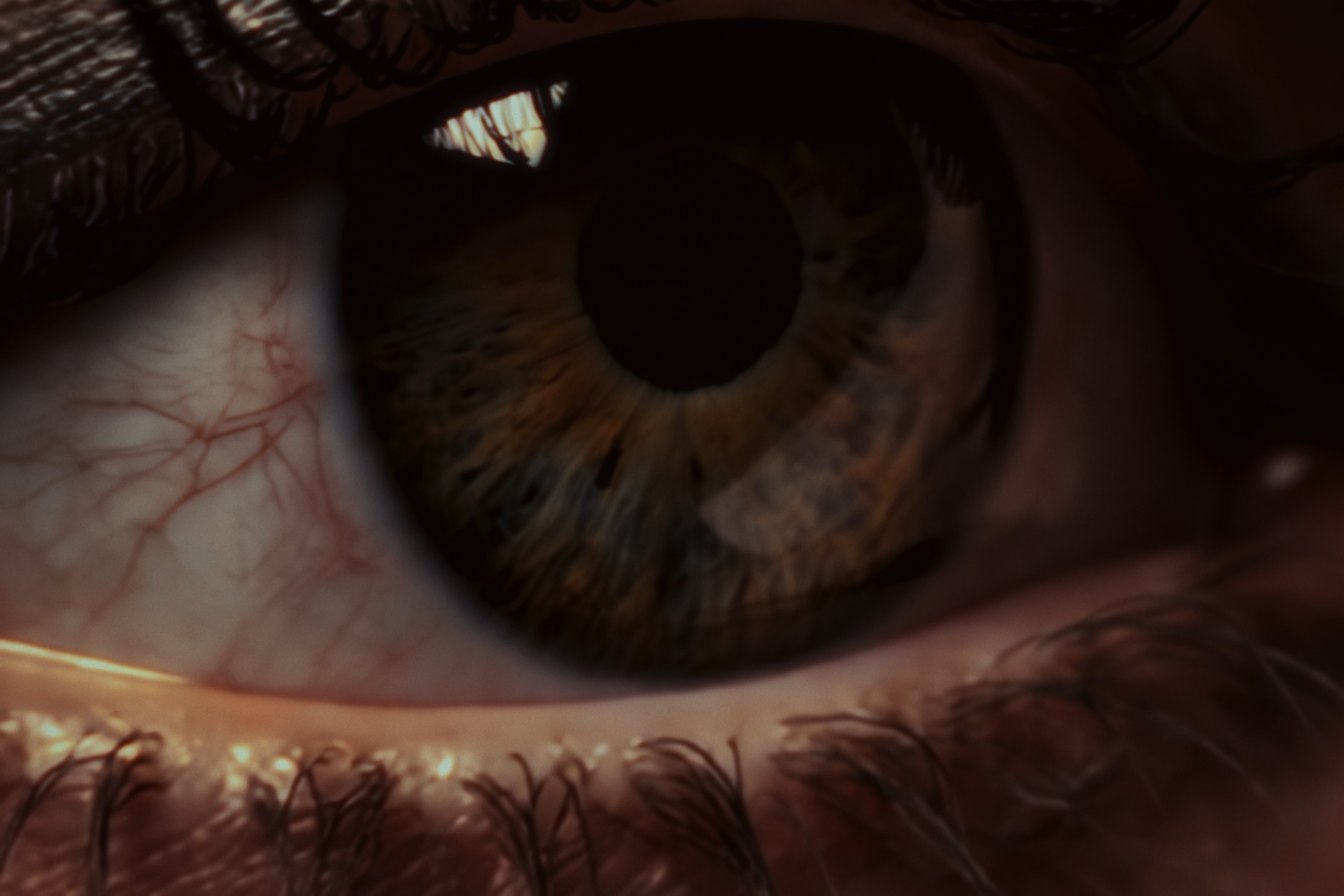 Still 2025-07-03 184124_1.1.4