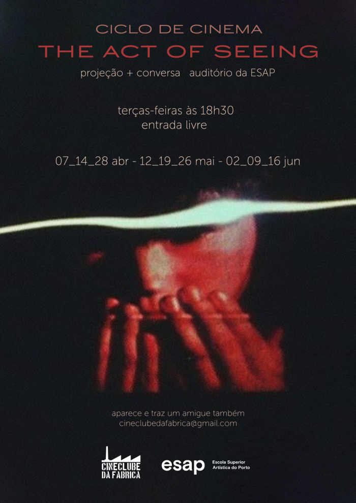 The Act of Seeing_cartaz_1