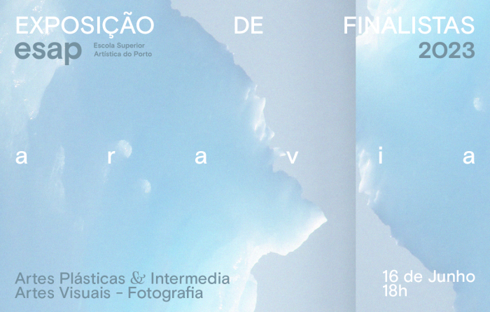 site&newsletter